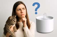 Est-ce bien une fontaine à eau pour chat ?
