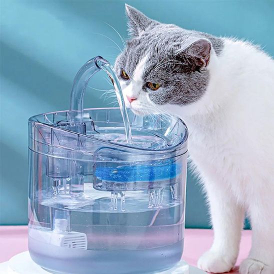 Où placer la fontaine a eau chat dans la maison ?