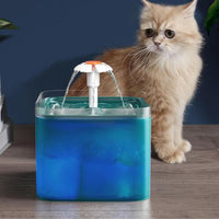 fontaine-a-eau-chat-floeur-bleu