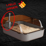 bac-a-litiere-chat-gris_