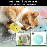 balle-interactive-pour-chat-avec-herbe