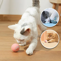 balle-magique-pour-chat-autonome