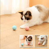 balle-magique-pour-chat-interactive