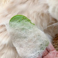 BROSSE CHAT - AUTONETTOYANTE