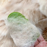 BROSSE CHAT - AUTONETTOYANTE