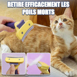 brosse-poil-chat-en-inox