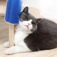 brosse-pour-chat-murale-bleu