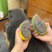 brosse-pour-chat-vapeur-