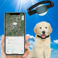 collier-gps-chat-apple