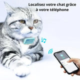 collier-gps-chat-avec-batterie