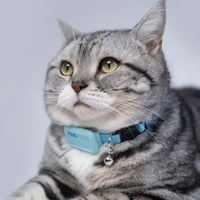 collier-gps-chat-bleu