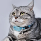 collier-gps-chat-bleu