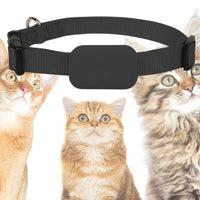 collier-gps-chat-noir