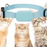 COLLIER GPS CHAT