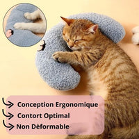 coussin-apaisant-chat-antistress