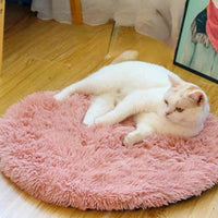 coussin-chat-anti-poils