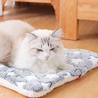 coussin-chat-gris