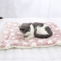 coussin-chat-rose
