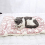 coussin-chat-rose