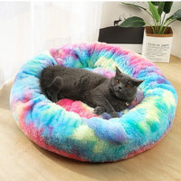 coussin-chat