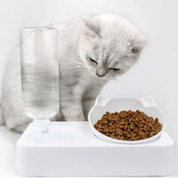 distributeur-eau-pour-chat-a-double-fonction