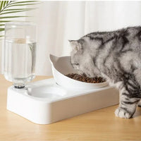 distributeur-eau-pour-chat-deux-en-un