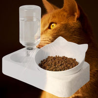 distributeur-eau-pour-chat-pour-chat-grand