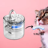 ontaine-a-eau-chat-avec-filtre