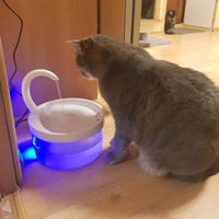 fontaine-a-eau-chat-en-avec-led-bleu