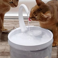 fontaine-a-eau-chat-pour-une-eau-fraiche