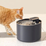 fontaine-a-eau-chat-pratique