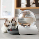 fontaine-a-eau-chat-sans-electricite-en-boule-de-cristal