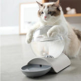 fontaine-a-eau-chat-sans-electricite