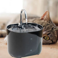 fontaine-a -eau-pour-chat-noire