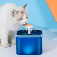 fontaine-eau-chat-electrique