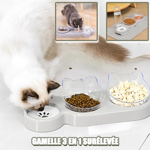 Fanshiontide Lot De 3 Gamelles Surélevées Pour Chat Avec Support