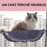  hamac-chat-fenetre-solide