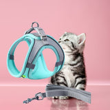 harnais-pour-chaton-bleu