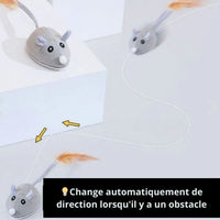 jouet-souris-pour-chat-avec-roulette
