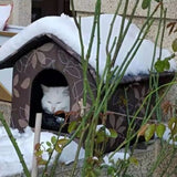 niche-pour-chat- extérieur-isolée-regide-impermeable