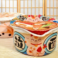 panier-chat-bol-de-ramen-moelleux