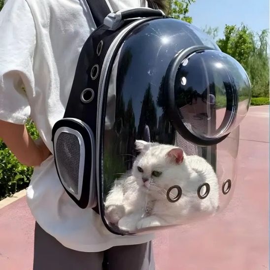 à Dos Chat Sac Ã Chat Hublot Pet Carrier Sac Ã Dos De Transport