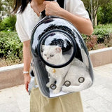 sac-à-dos-chat-avec-hublot