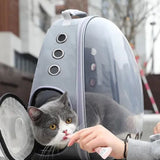 sac-a-dos-chat-bulle-gris