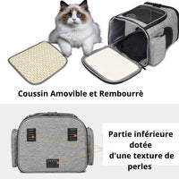 sac-à-dos-pour-chat-adulte-pour-hiver-et-ete