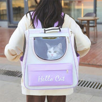 sac-à-dos-pour-transport-chat-fashion-violet