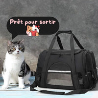 sac-transport-chat-portable-pliable-confortable